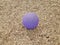 Purple ball or sphere in brown mulch