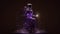 purple Barbie doll full length sparkling fireflies on black background generative AI