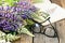 Purple beautiful lupines on wooden background