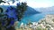 Purple bell on the background of beautiful view of Boka Bay in Montenegro