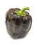 Purple bell pepper