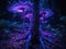 Purple bioluminescent fungus on tree in forest