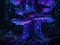 Purple bioluminescent fungus on tree in forest