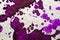 Purple blob watercolor background