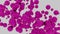 Purple blood cells moving in the blood stream. Design. Pink particles on a white background.