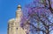 Purple blossem in front of the historic Golden Tower in Sevilla