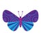 Purple and blue colorful butterfly clip art