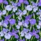 Purple and blue irises on a dark green background, seamless