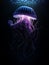 Purple and blue Jellyfish dansing in the dark blue ocean under water,portrait jellyfish under water in the sea beautiful wildlife