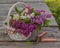 Purple-blue lilac in a white basket and secateurs on a wooden t