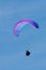 Purple and blue paraglider at Torrey Pines Gliderport in La Jolla