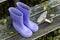 Purple boots and forest mushroom