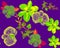 Purple Botanical Decor. Green Orchid Decor. Neon Hibiscus Illustration. Flower Set. Watercolor Background. Seamless Set. Pattern D