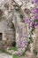Purple bouganvillea along a stone staircase in Jerusalem