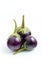 Purple Brinjal