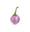 Purple Brinjal isolated on the white background.