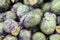 Purple brussel sprouts background