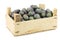 Purple brussel sprouts in a wooden crate