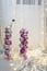 Purple bulbs in transparent glass vase. Christmas and New Year decorations and toys. Blurry white background