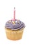 Purple buttercream iced cupcake with a single birthday candle