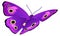 Purple butterfly with bright patterned wings. Flying moth