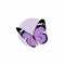 Purple Butterfly Flat Design on White Background