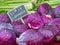 Purple cabbages for sale at farmer`s market with price displayed