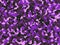 Purple camouflage pattern