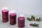 Purple candles with holly on white background