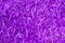 Purple carpet