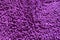 Purple carpet surfaces , color background luxurious style.