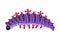 Purple Caterpillar as Larval Stage of Insect Crawling and Creeping Vector Illustration