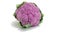 Purple cauliflower