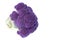 Purple Cauliflower Isolated