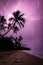 Purple Chain Lightning on a Palm Beach