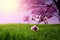 A purple cherry blossom blooms on the green grass. generative ai