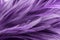 Purple chicken feathers in soft and blur style