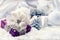 Purple Christmas package with a silver ribbon and background christmas decoration - Christmas balls pine cone white satin and whit