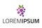 Purple Color Grape Fruit Line Dot Connectivity Logo Design