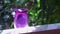 Purple color plastic jar with green background