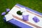 Purple Cornhole Bean Bag Toss Game