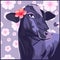 Purple cow with a hibiscus flower on her ear. Pretty farm animal with big eyes on a floral spring background.