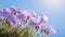 Purple Creeping Phlox against a blue sky. Generative AI