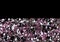 Purple diamond jewel stones luxury background