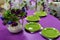 Purple dining table with green plates.