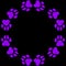 purple dog paw prints, purple dog paws black background, purple cat paws, purple dog footprints, dog footprint drawing.