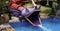 Purple dragon head water slide