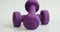 Purple dumbbells of 1 kg spinning on white background closeup 4k movie