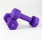 Purple dumbells on white