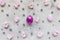 Purple Easter egg, spring pink flowers and pearls. Trendy holiday lifestyle background